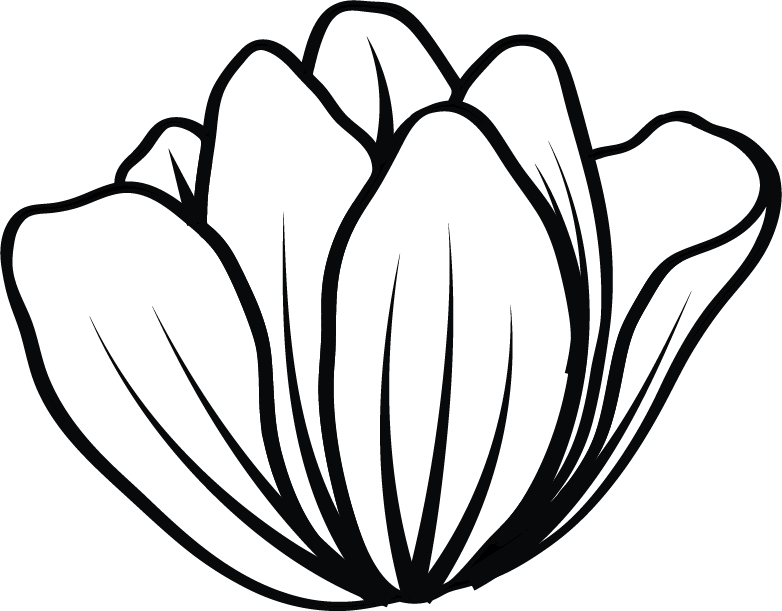 nix design tulip head-40