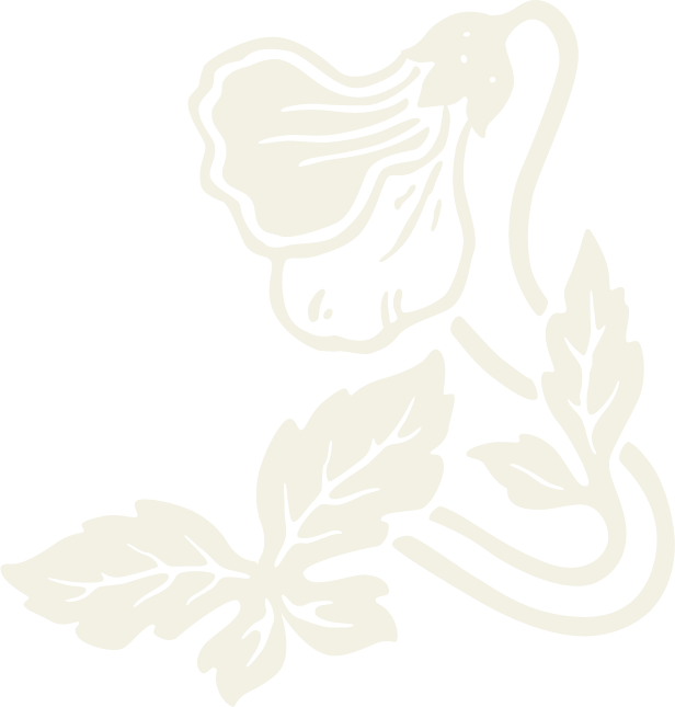 nix design tulips-38